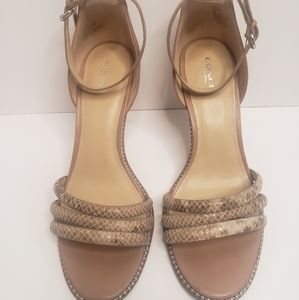 Coach ankle strap stiletto